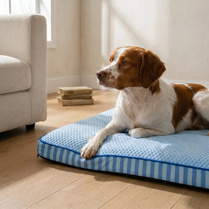 Spire cooling ice silk dog bed with dog, close up