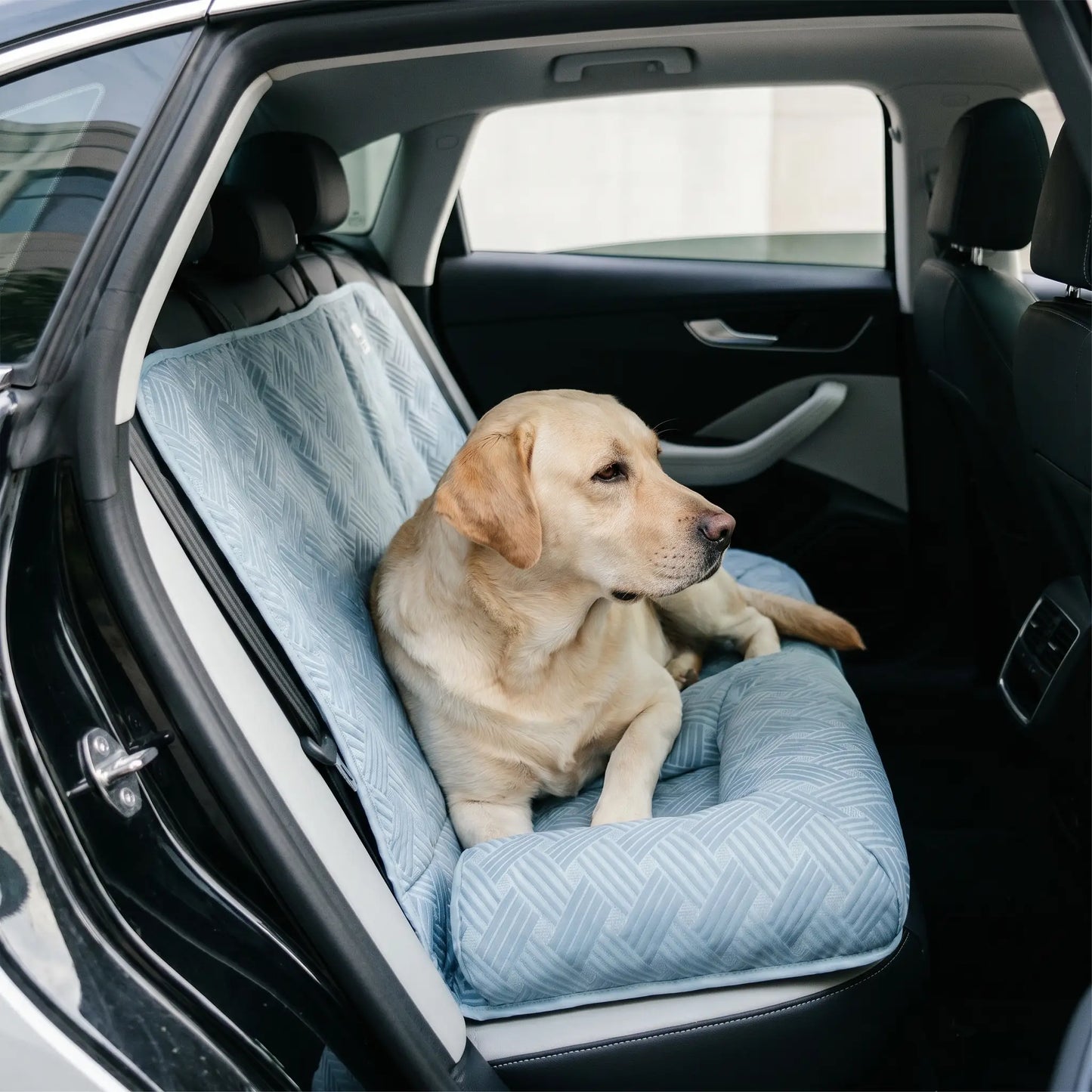 Strath cooling car seat bed in a car scene
