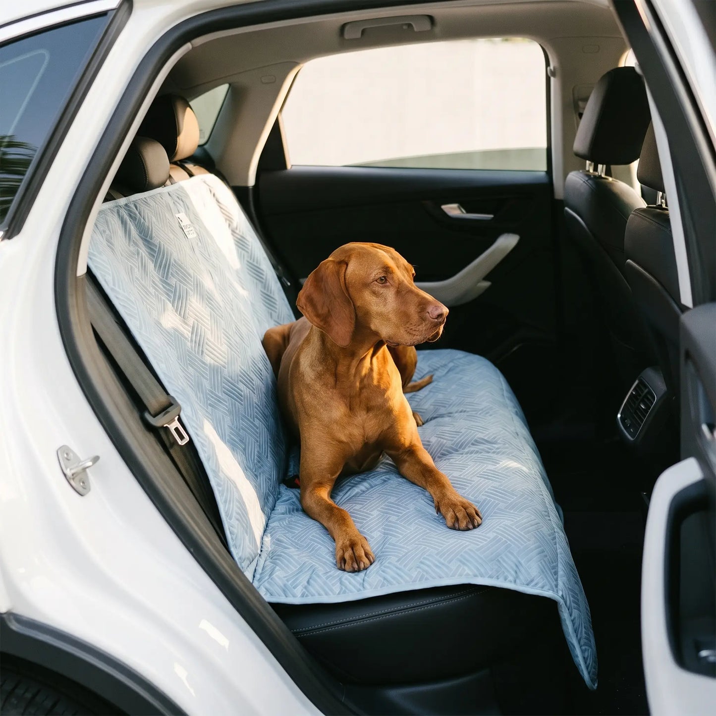 Vizsla on the Strath car seat bed