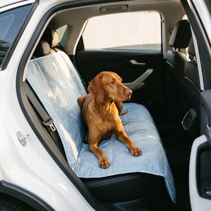 Vizsla on the Strath car seat bed