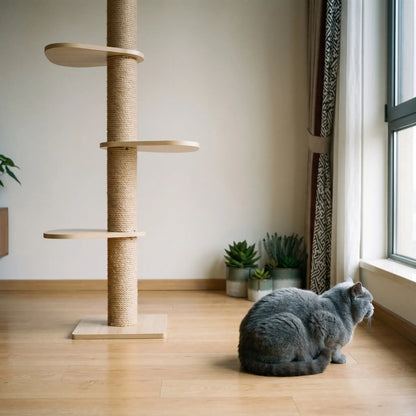 Swale cat tree studio shot