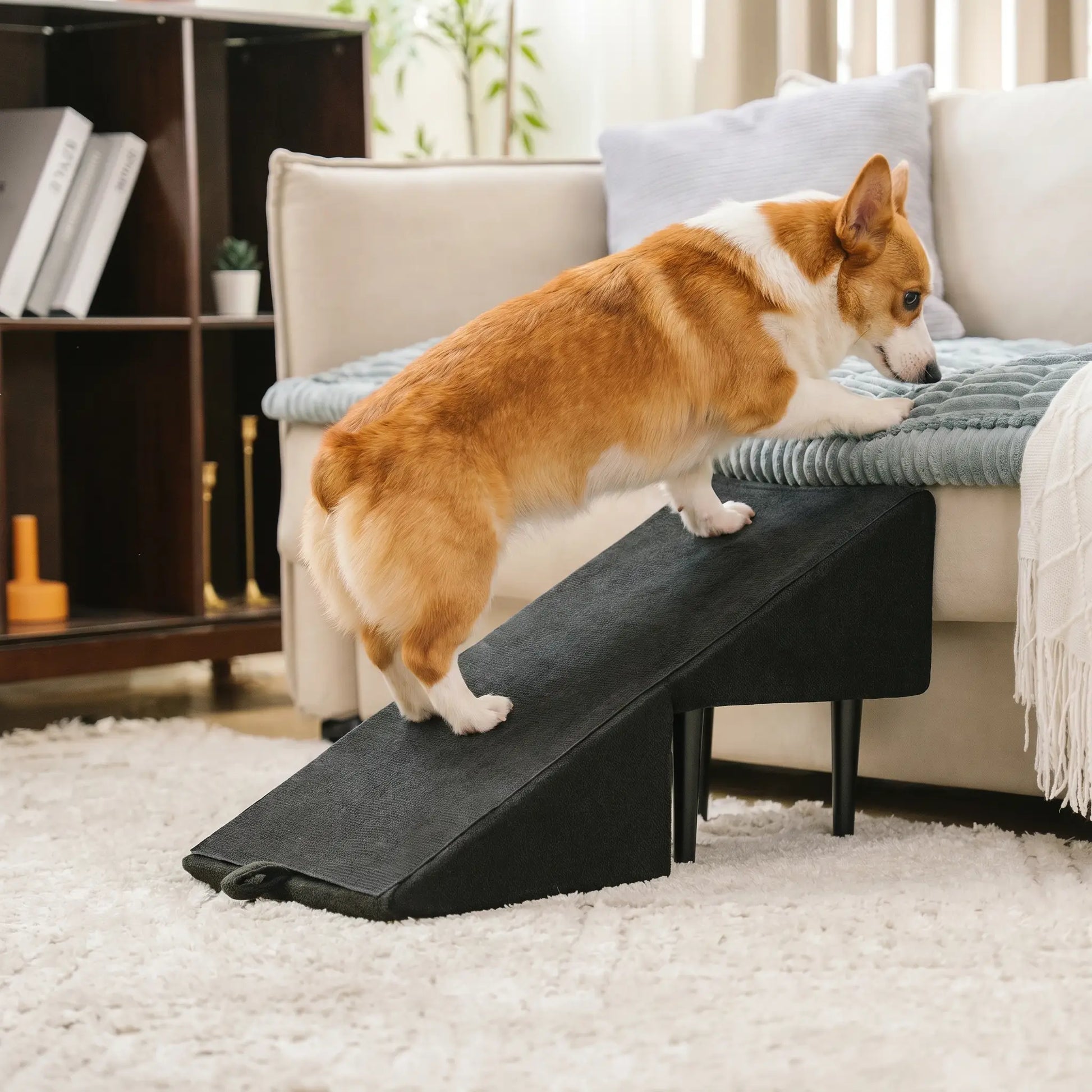 Corgi on the Thatch step stool
