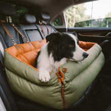 Border Collie using the Vega