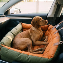 Vizsla with the Vega