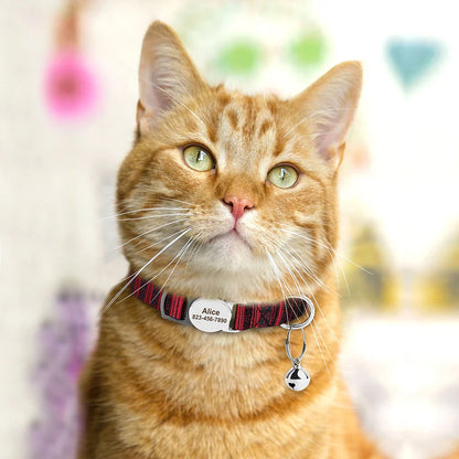 Reef - Personalised Cat Collar with Engraved Nameplate and Bell
