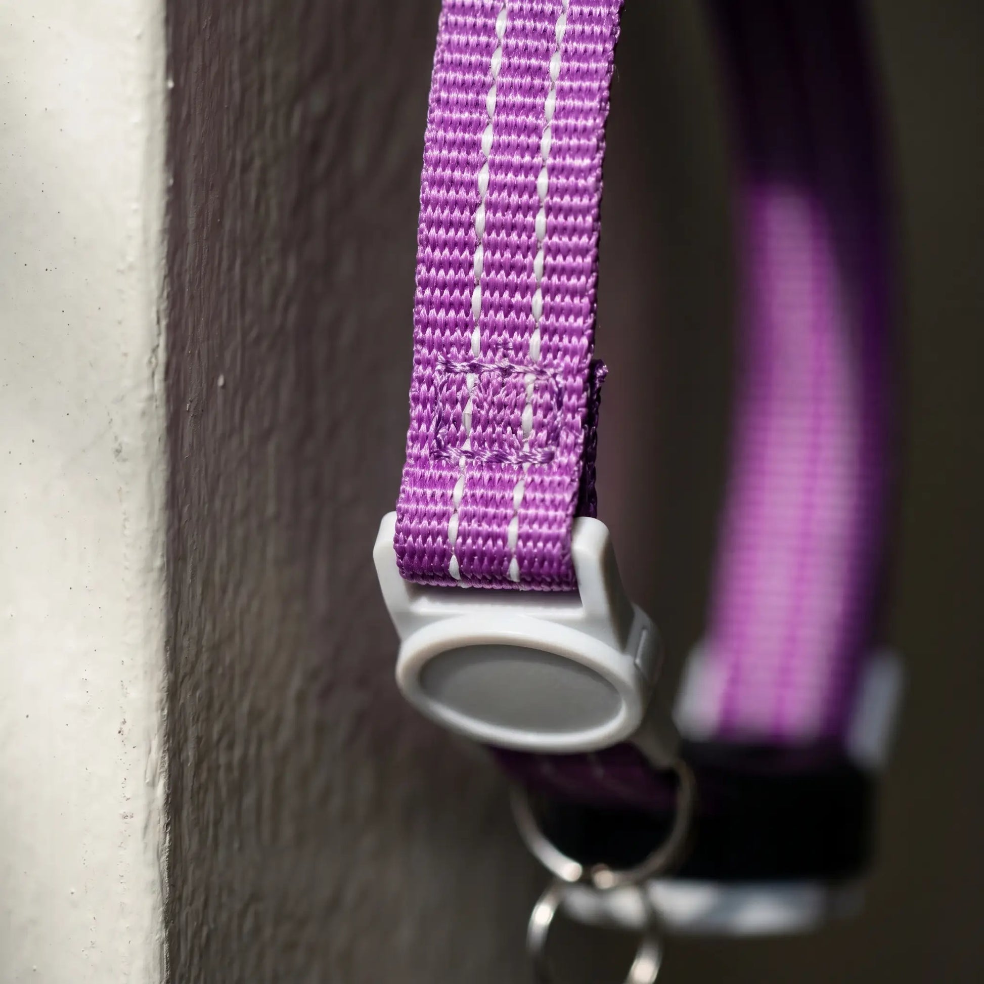 Wharfe collar AirTag case detail