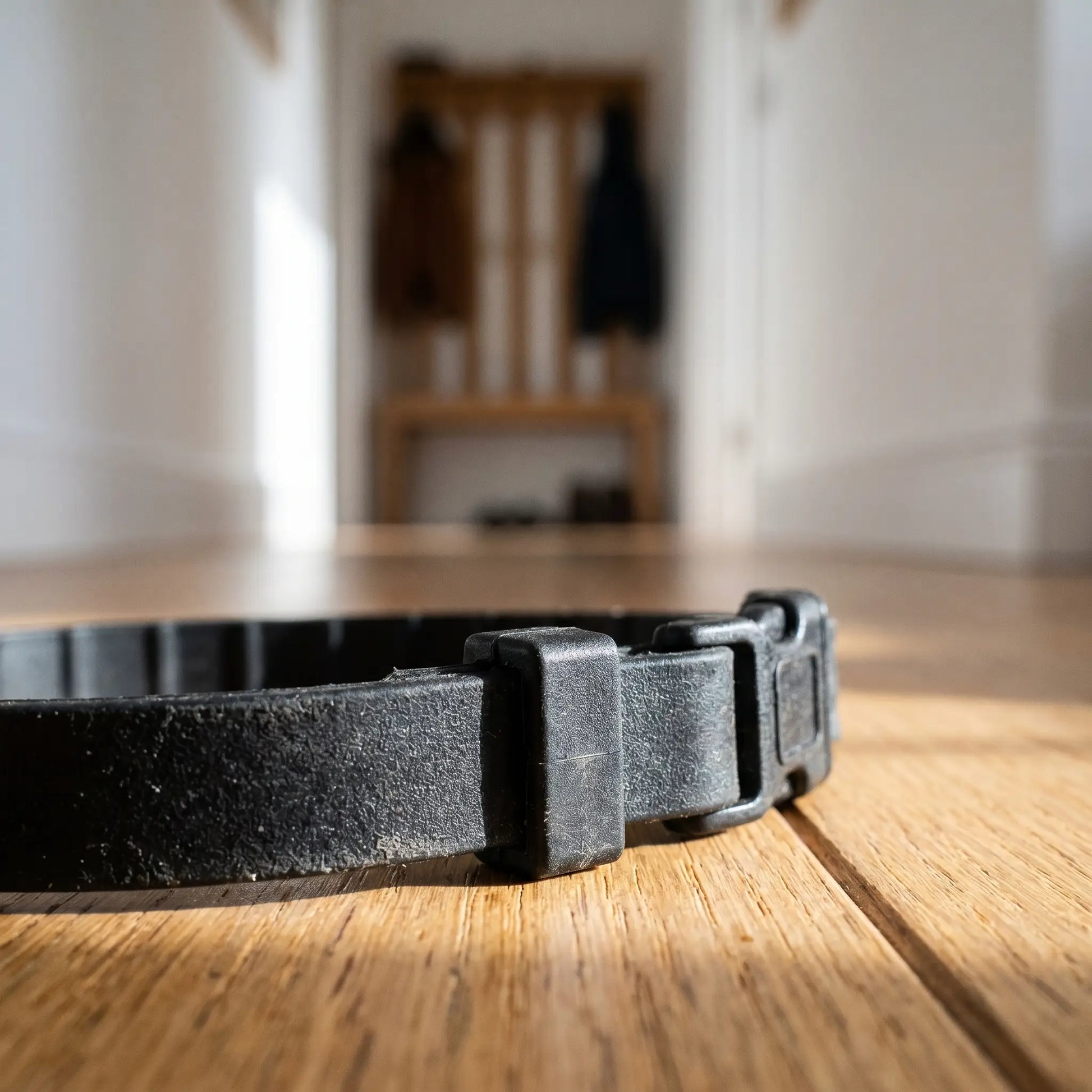 Whin collar detail