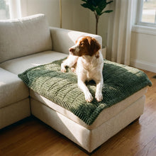 Brittany Spaniel on the Wisp mat