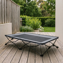 Wold elevated dog cot, studio shot