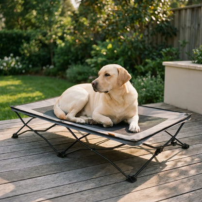 Wold elevated dog cot with dog, wider view