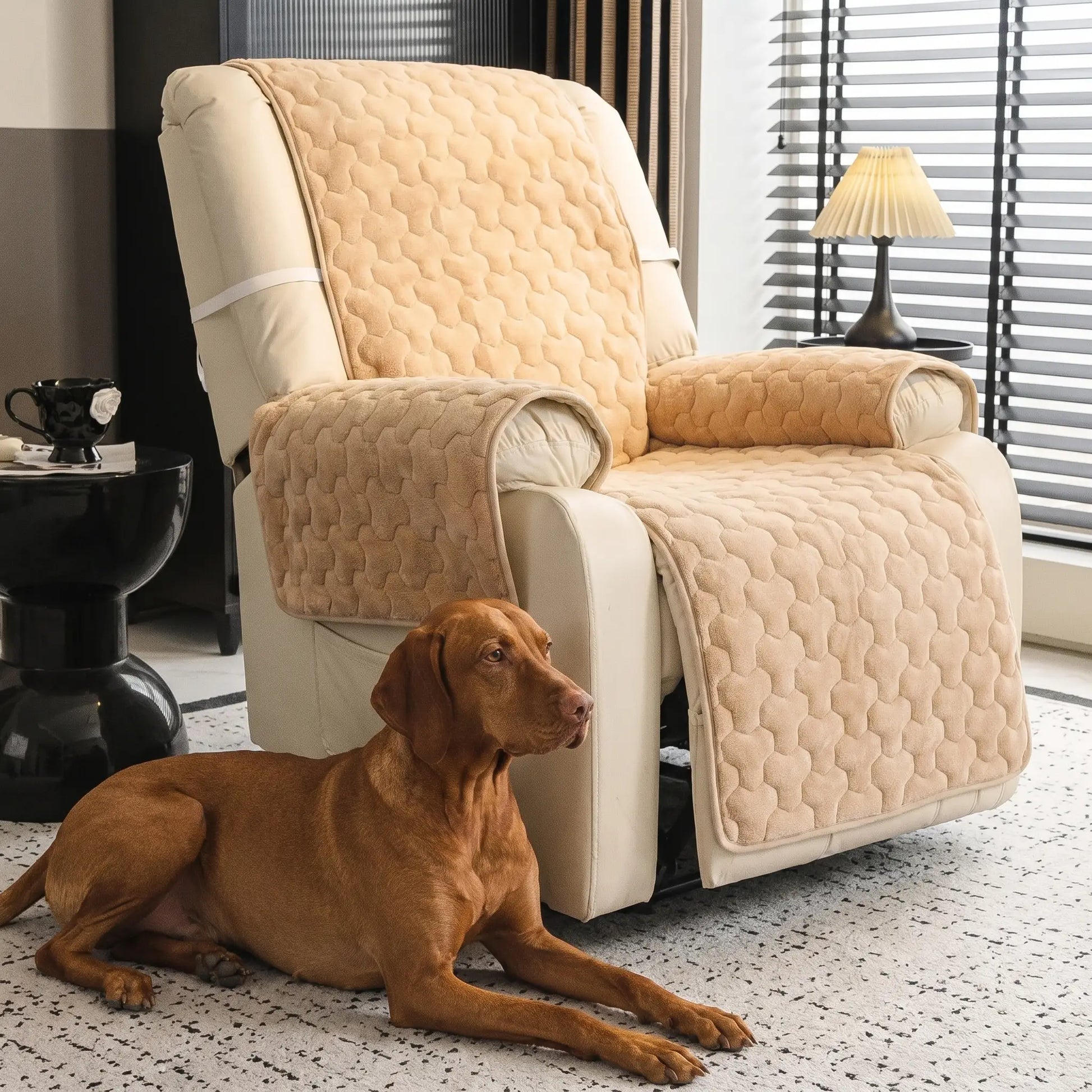 Vizsla with the Yare plush sofa cover