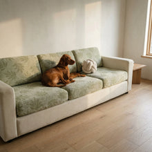 Vizsla settling on the Yarrow chenille cover